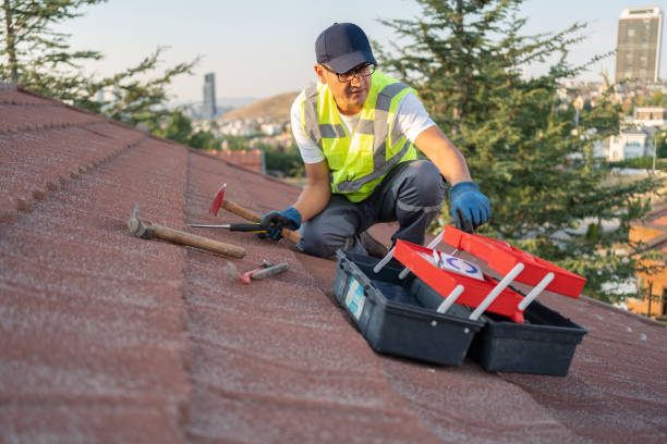 Best Storm Damage Siding Repair  in Oak Hill, WV